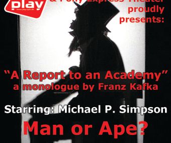 2008 - A report to an academy